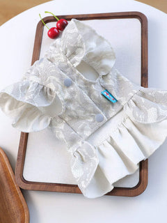 Pet wearing ruffled dress with bow for special occasions