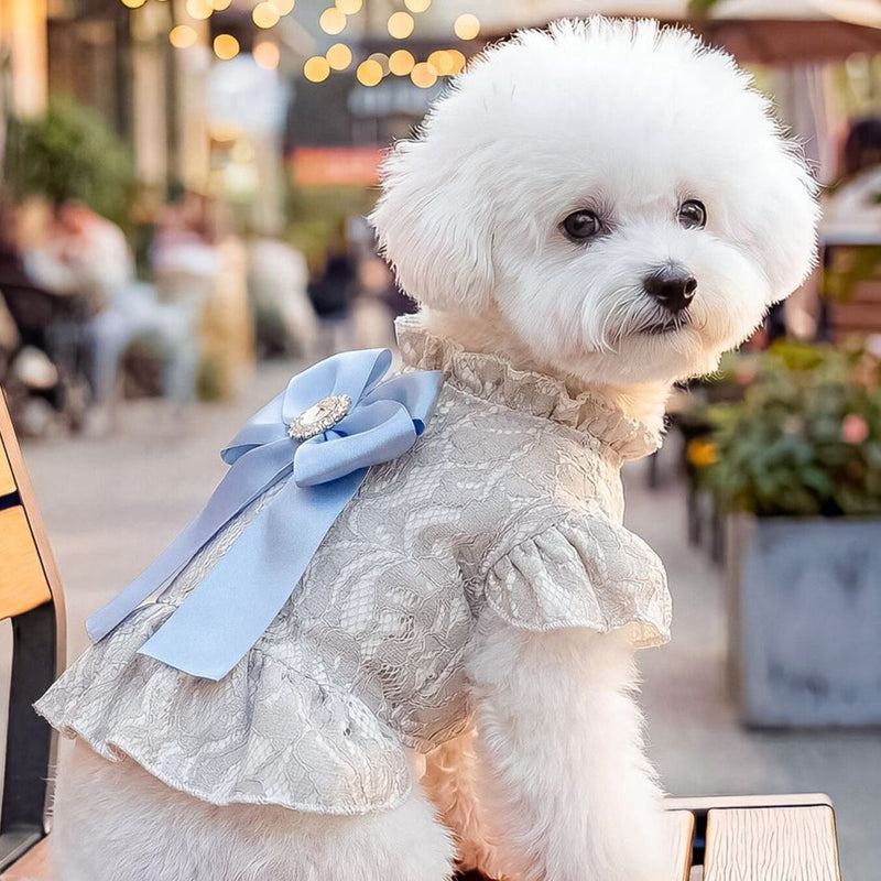 Ruffled pet dress with bow for special occasions