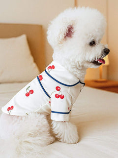 Pet wearing soft stylish satin pajamas with contrast piping