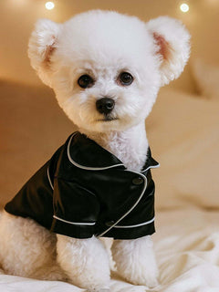 soft stylish satin pet pajamas with contrast piping