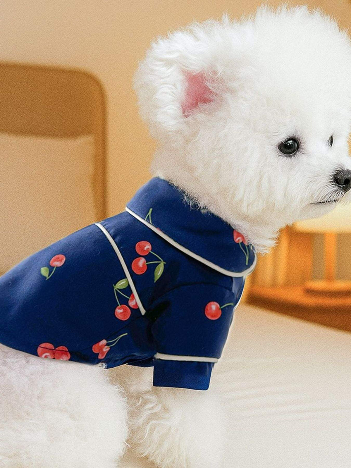 Pet wearing soft satin pajamas with contrast piping