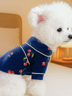 Pet wearing soft satin pajamas with contrast piping