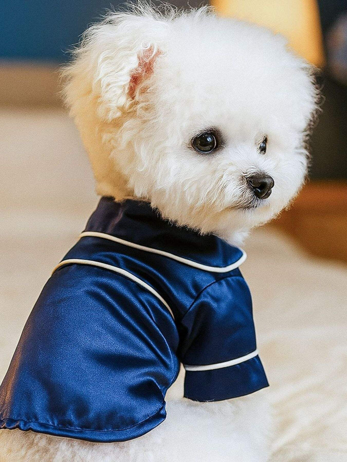 soft satin pet pajamas with contrast piping
