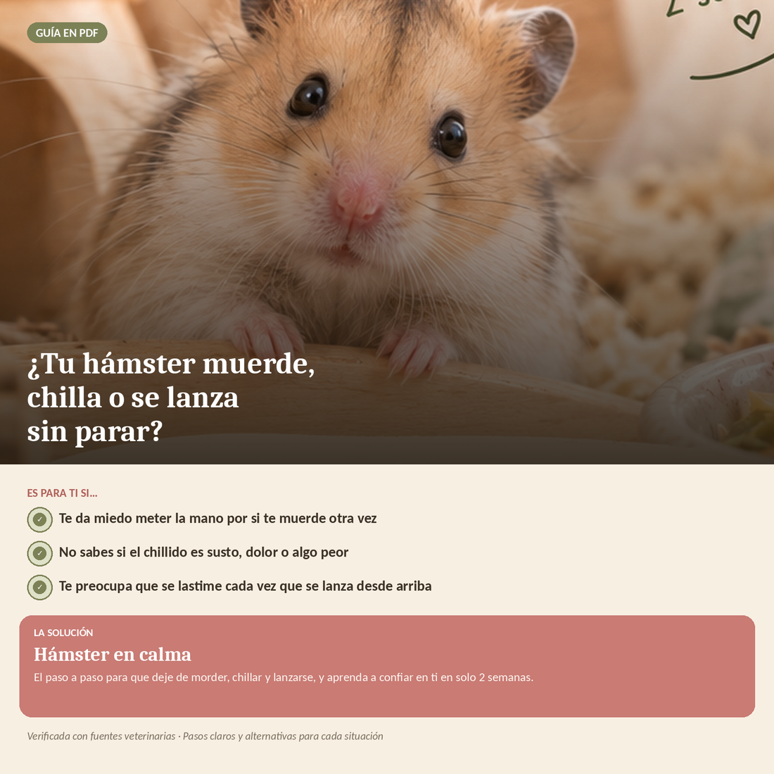Guía paso a paso para calmar a un hámster estresado