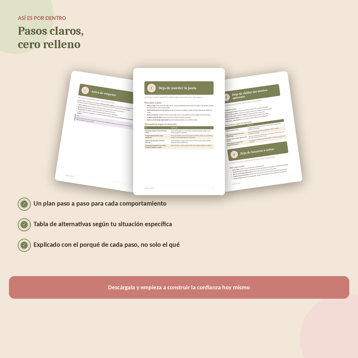 Guía paso a paso para calmar a un hámster estresado