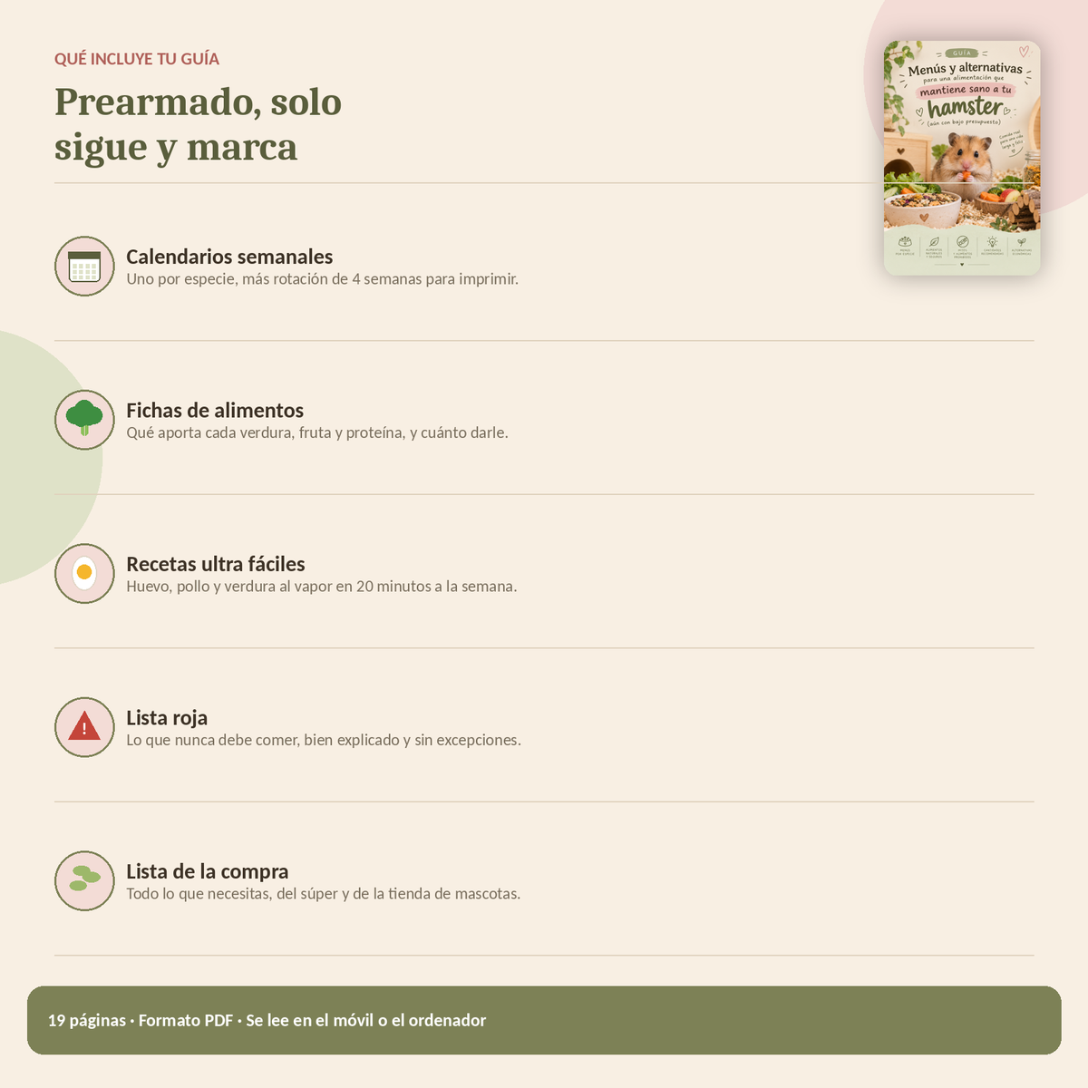 Mantiene sano a tu hámster con esta guía de alimentación con menús, alternativas y consejos (aún con bajo presupuesto)