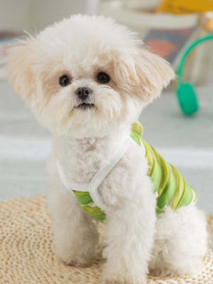 Pet wearing striped breathable classic top