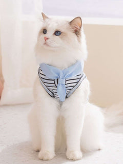 Striped pet top with tied bow detail for comfort and style