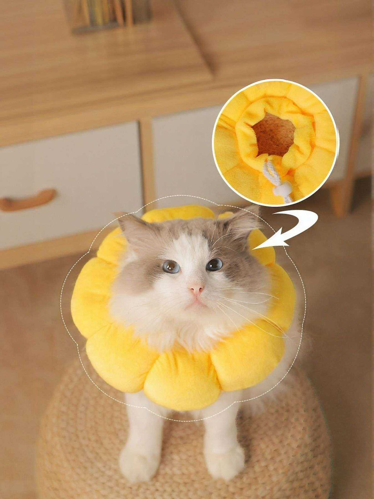 Sunflower protective pet collar with cheerful design on a dog