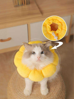 Sunflower protective pet collar with cheerful design on a dog