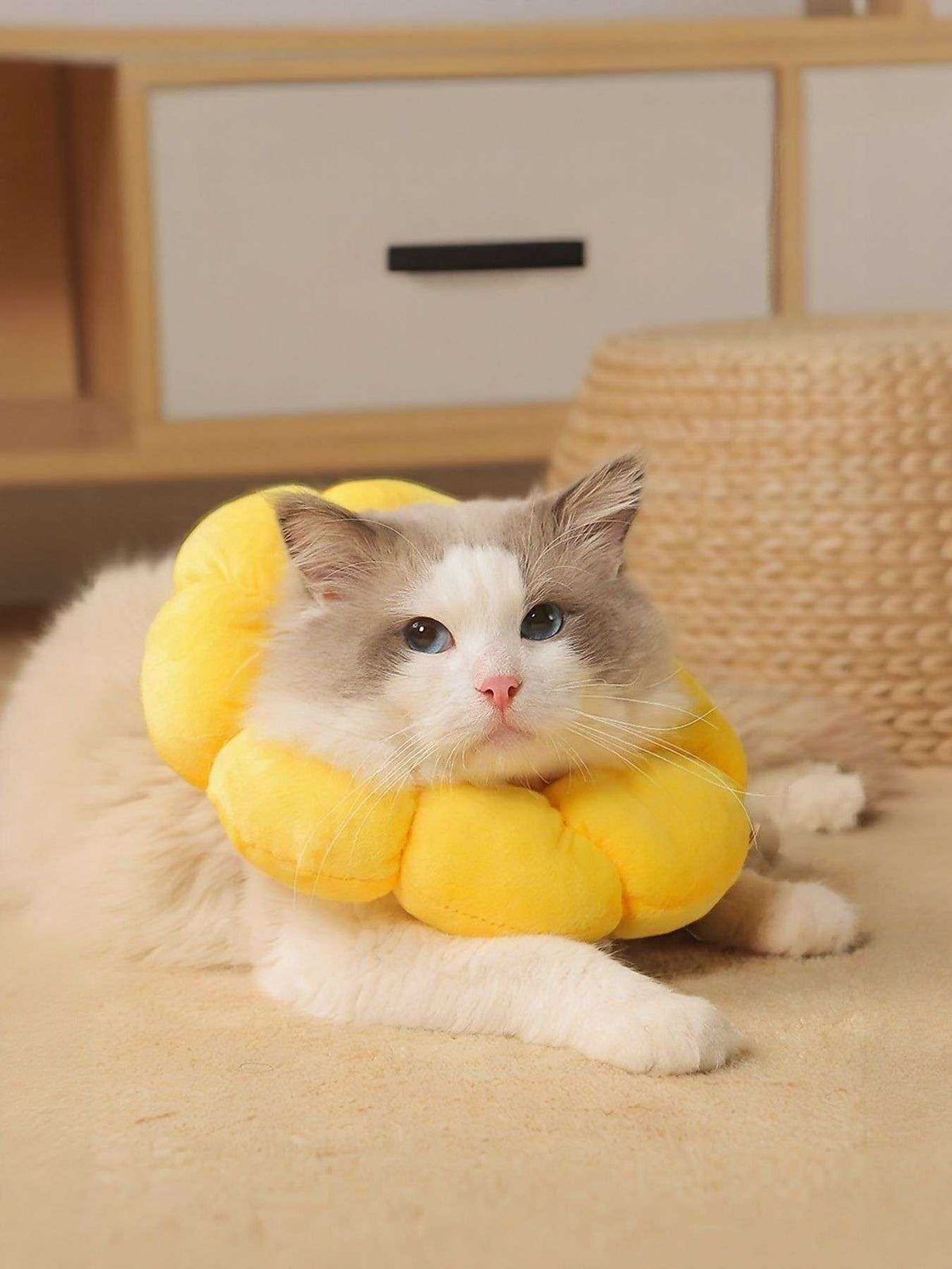 Sunflower protective pet collar with cheerful design