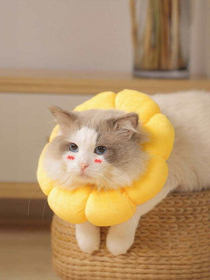 sunflower protective pet collar on happy dog