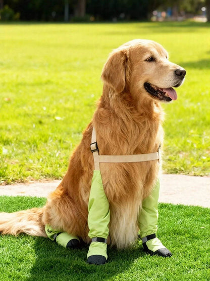 waterproof pet leggings for paw protection in sizes xs to xl