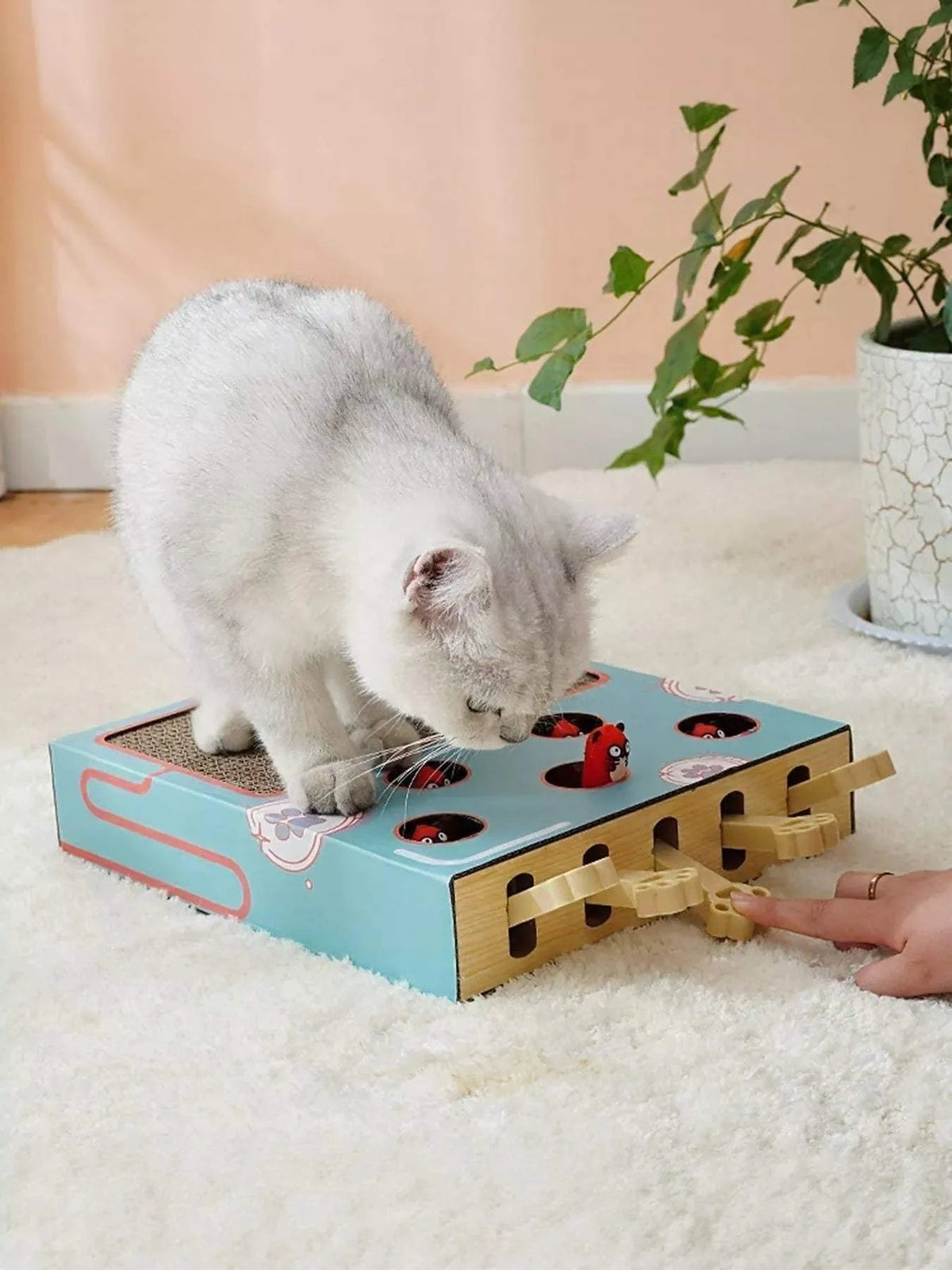 Whack-a-mole interactive cat toy for mental stimulation and play